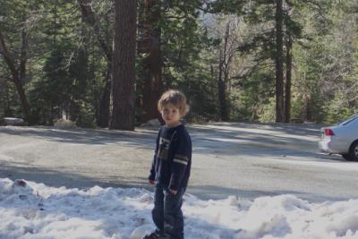Sam in Snow